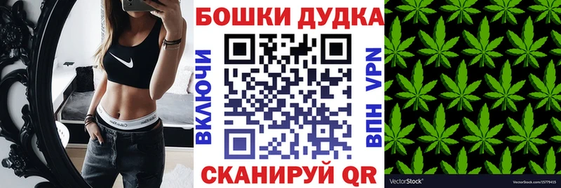 Где продают наркотики Гвардейск СК Бошки Шишки COCAIN