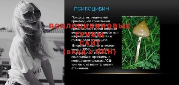 Альфа ПВП Анива