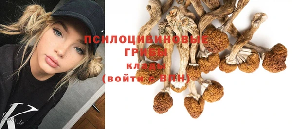 эйфоретик Анжеро-Судженск