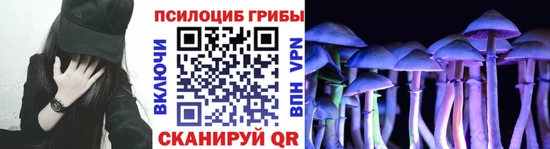 ОМГ ОМГ ссылки  Гвардейск  Галлюциногенные грибы MAGIC MUSHROOMS 